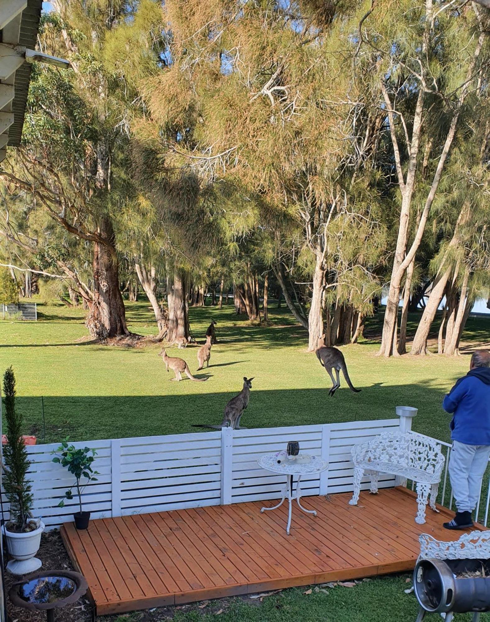 Bed & Breakfast The Sanctuary At Paradise 4*
